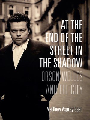 cover image of At the End of the Street in the Shadow